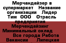 Мерчандайзер в супермаркет › Название организации ­ Лидер Тим, ООО › Отрасль предприятия ­ Мерчендайзинг › Минимальный оклад ­ 23 000 - Все города Работа » Вакансии   . Липецкая обл.